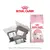 Royal Canin Feline Kitten - vakuované balení