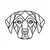 Labrador