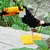 Tukan Nanoblock