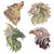 Set 1 – fractal animals