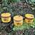 Včelařovo potěšení: medovina, svíčky i mýdla
