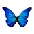 Dřevěná brož - motýl Morpho