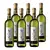 6× Müller Thurgau 2018