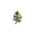 Monstera
