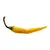 Sazenice Cayenne Yellow 1 ks