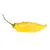 Sazenice Lemon Drop 1 ks