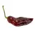 Sazenice Bhut Jolokia Chocolate 1 ks