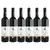 6x Cabernet Moravia