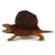Dimetrodon