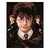 Harry Potter, Hermiona a Ron