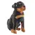 Rottweiler tmavý