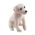 Labrador