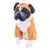 Boxer