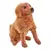 Retriever zlatý