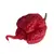 Semínka chilli Carolina Reaper 10 ks