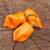 Semínka chilli Habanero Orange 10 ks