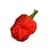 Semínka chilli Trinidad Scorpion Moruga 10 ks