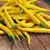 Semínka chilli Cayenne Yellow 10 ks