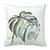 Monstera list