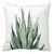 Aloe