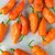 Sazenice Bhut Jolokia Orange 1 ks