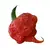 Sazenice 7 Pot Primo 1 ks