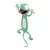 Chameleon