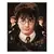 Harry Potter, Hermiona a Ron