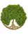 Machový obraz Simple Oak "Strom života" (20 cm)