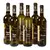 2x Müller Thurgau, 2x Ryzlink Rýnský, 2x Chardonnay
