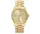 Dámské hodinky Michael Kors, model MK5160