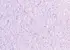 Tapeta PolDecor typ 14/9