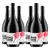 Set 6 lahví "Vino Libre" BIO Garnacha