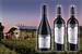 Set 3 argentinských vín z vinařství Estampa