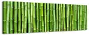 Bamboo Fantasy