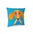 O-OOPS Happy Cushion – Pes
