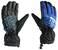Lyžařské rukavice Leki Elements Cerium S