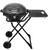 model TT-EG2