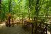 Treehouse Bojnice VII.