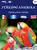 Střední Amerika / 5 DVD