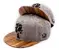 Snapback Zebrano – šedá