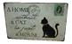 Plechová cedule Home without cat (30x20)