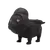 Černá hvězda