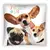 POLŠTÁŘ FUNNY DOGS PS0004 40X40CM