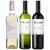 Set 3 - Chardonnay, Torrontes, Cabernet Sauvignon