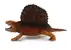 Dimetrodon