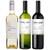 Set 5 - Chardonnay, Torrontes, Cabernet Sauvignon