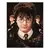Harry Potter, Hermiona a Ron
