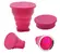 Sterilizační skládací kelímek Lilcup rose