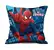 Polštář Spiderman eli 1001-1